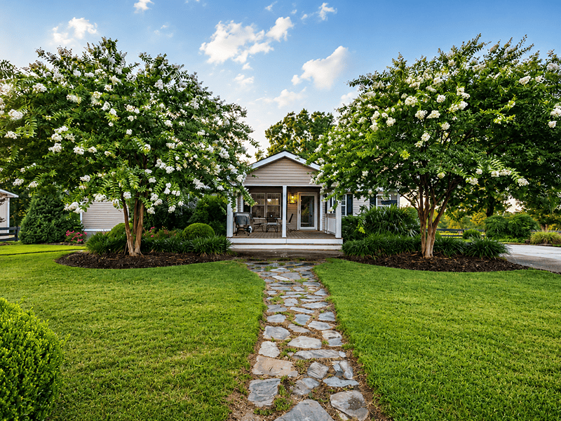 rental home